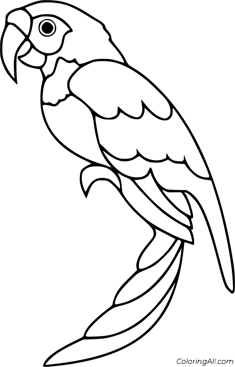 Free printable parrot coloring pages in vector format easy to print from any device and automatically fit any â cãmo dibujar cosas dibujar arte arte de aves