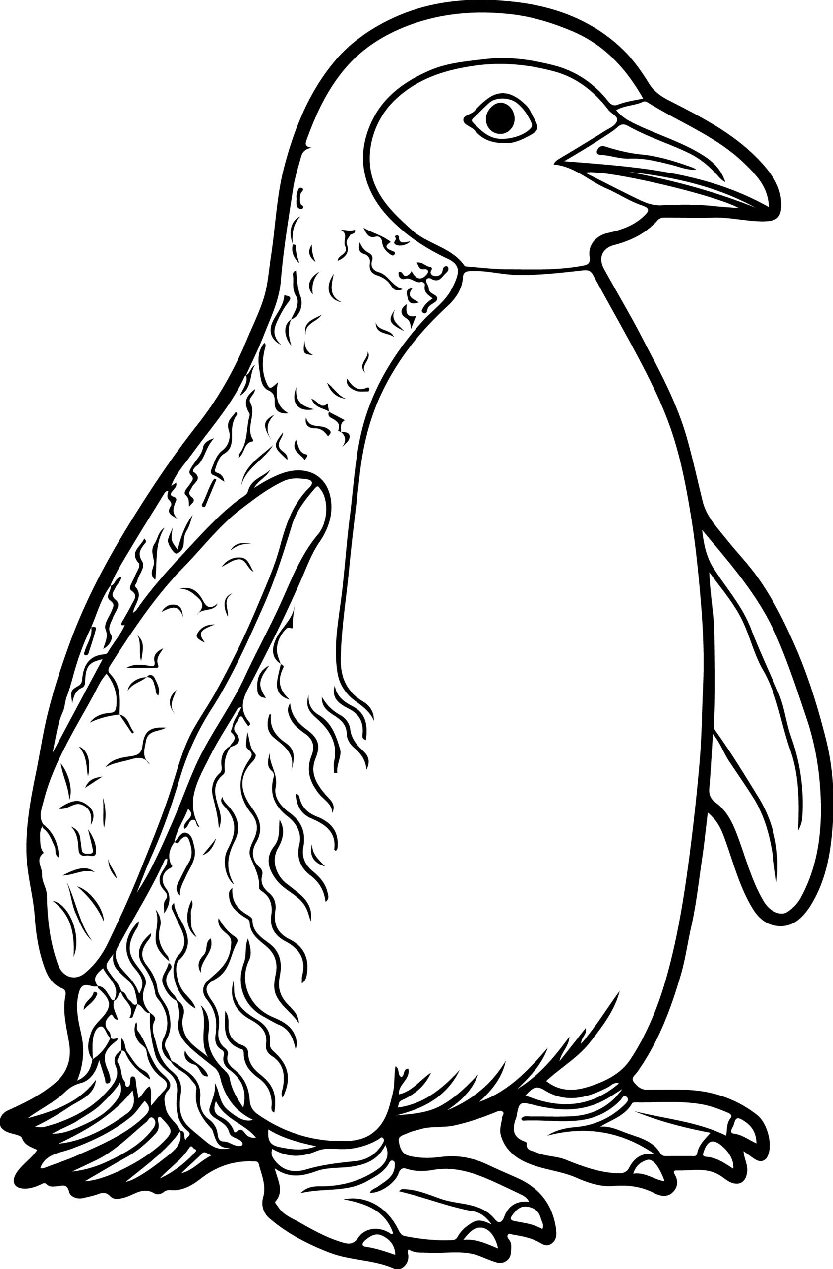 Penguin coloring book