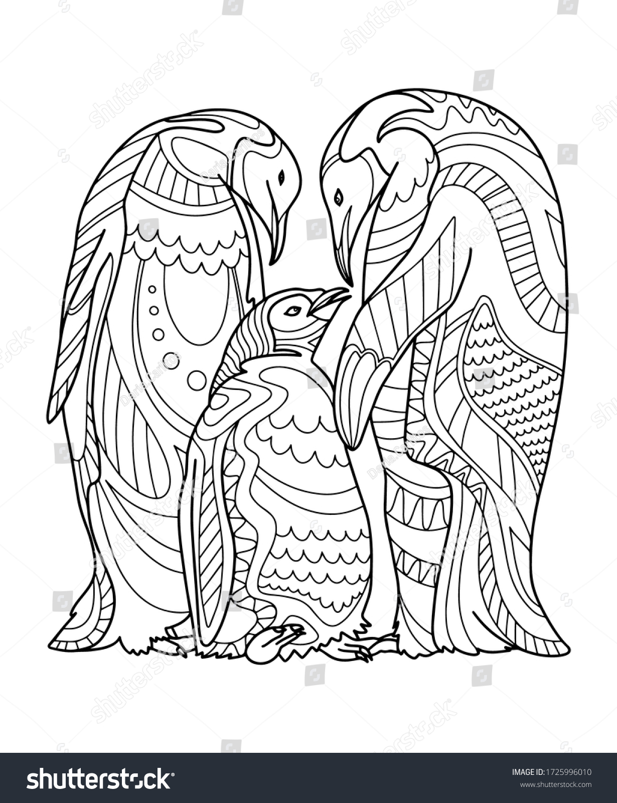 Adult coloring penguins images stock photos d objects vectors