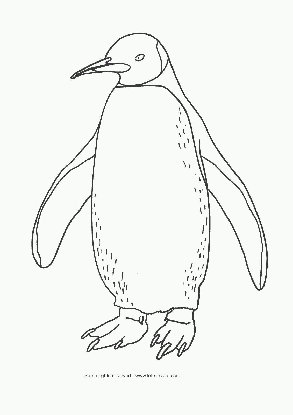 Penguin coloring page