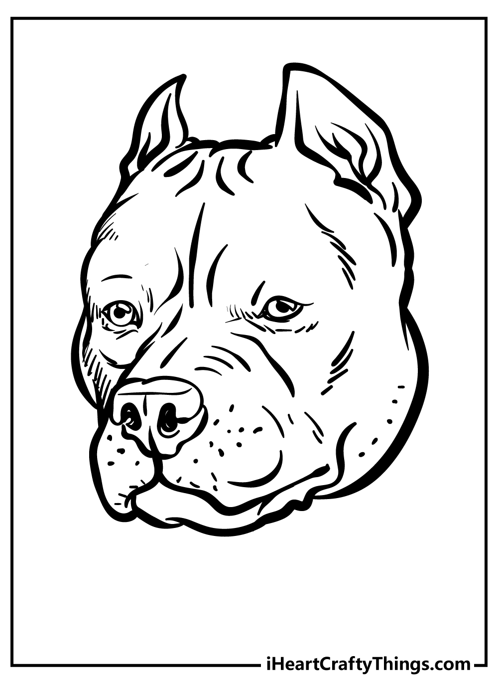 Pitbull coloring pages free printables