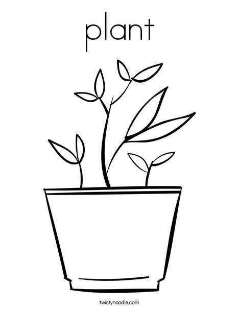 Plant coloring page