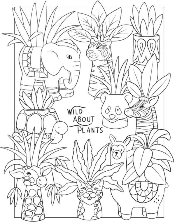 Plants coloring pages â