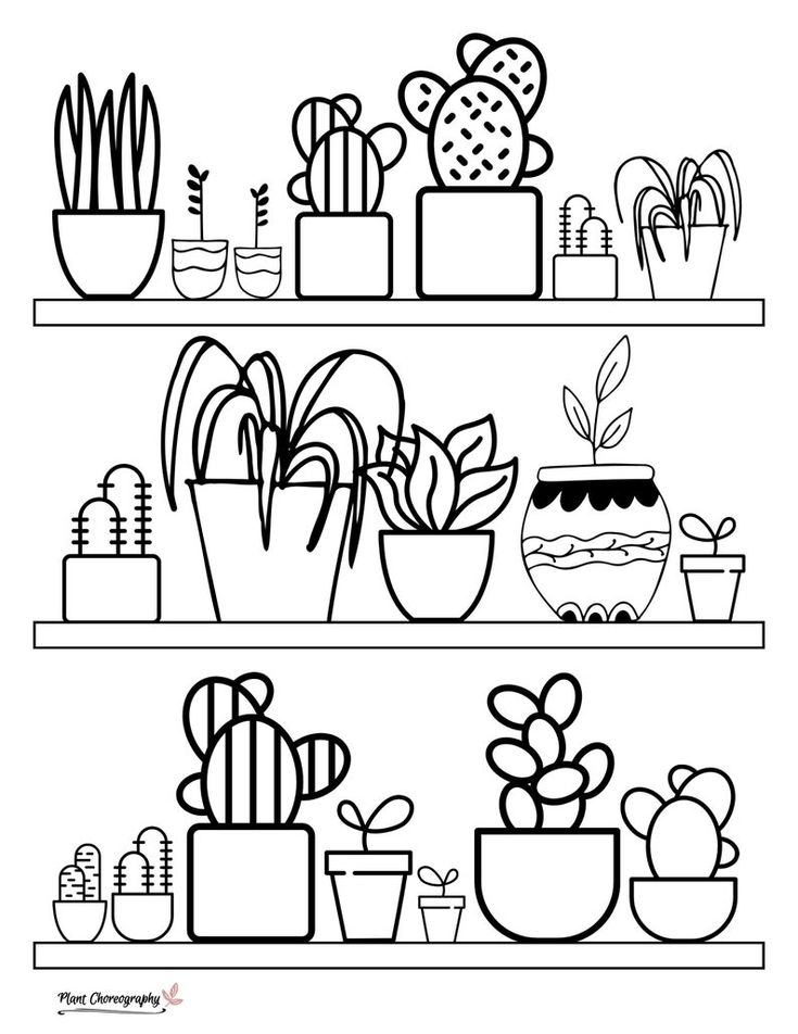 Houseplant coloring pages succulent coloring book cactus