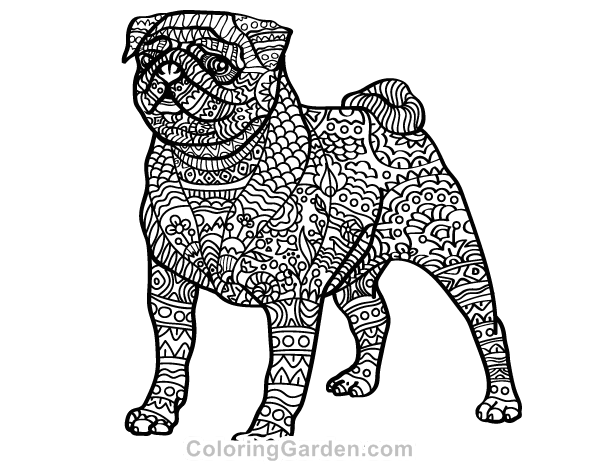 Pug adult coloring page