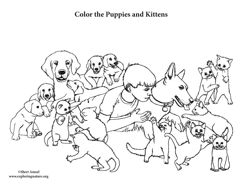 Puppies and kittens coloring page