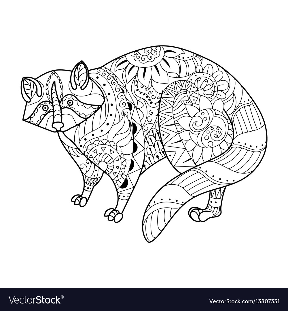 Raccoon coloring book royalty free vector image