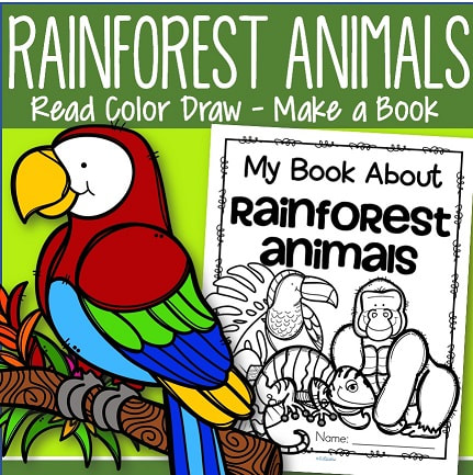 Rainforest animals coloring printables