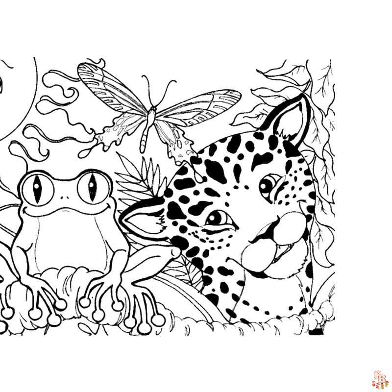 Explore the world of rainforest coloring pages