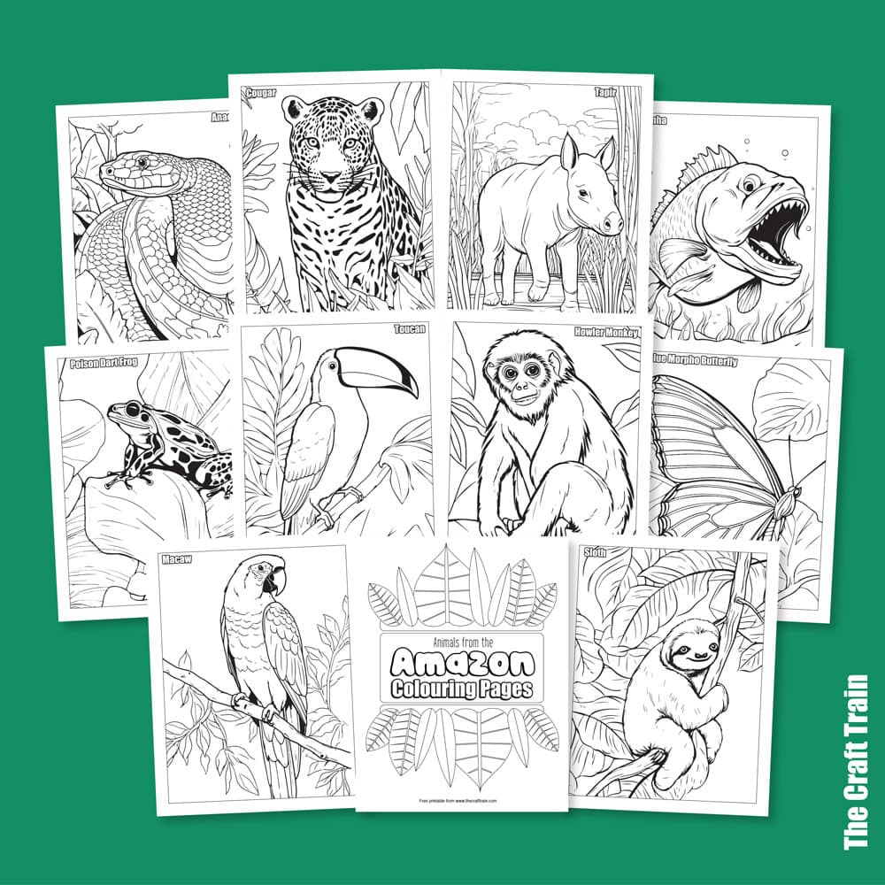 Amazon animal colouring pages