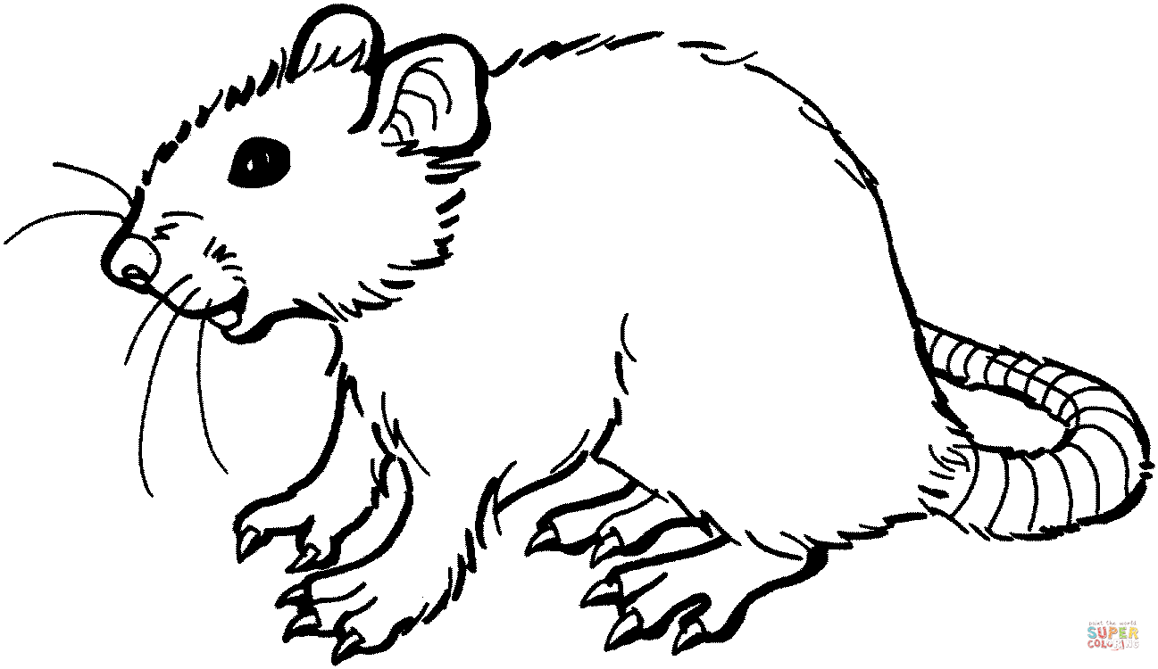 Smiling rat coloring page free printable coloring pages