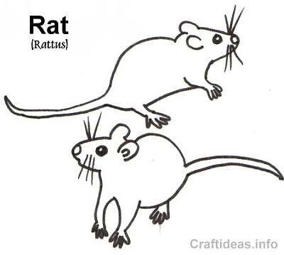 Free coloring book page of a rat