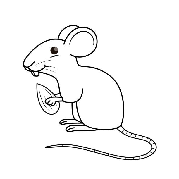 Vector illustration of mouse isolated on white background for kids coloring book stock illustration