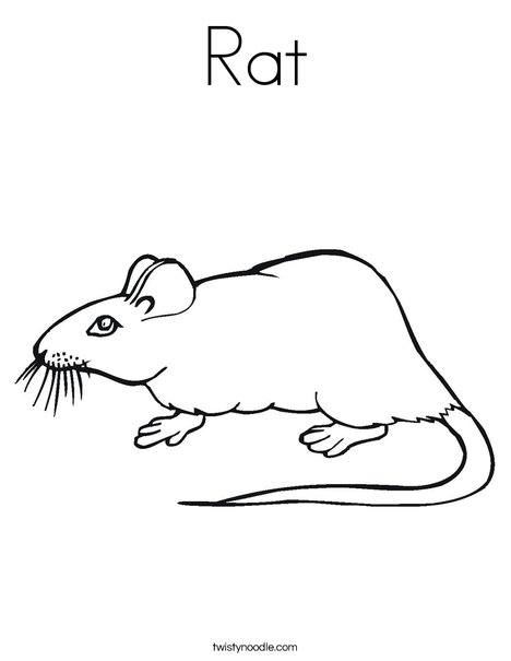 Rat coloring page