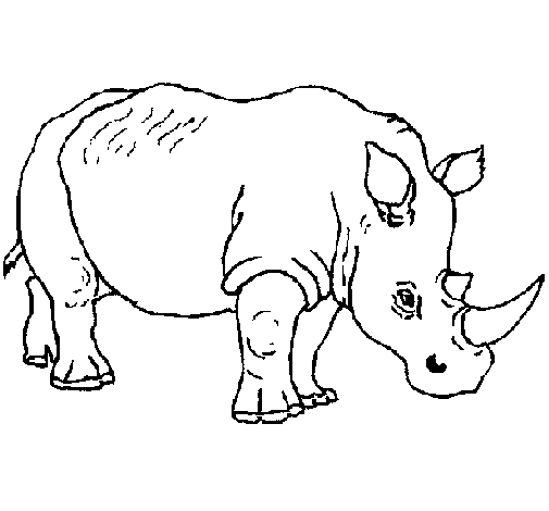 Rhinoceros coloring page