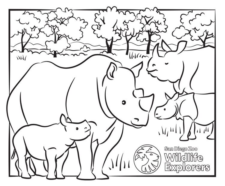 Coloring page rhinos san diego zoo wildlife explorers