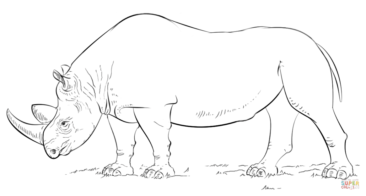 African rhino coloring page free printable coloring pages