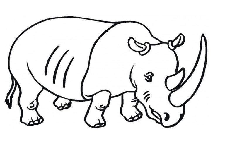 Free printable rhinoceros coloring pages for kids coloring pages for kids coloring pages free printable coloring pages