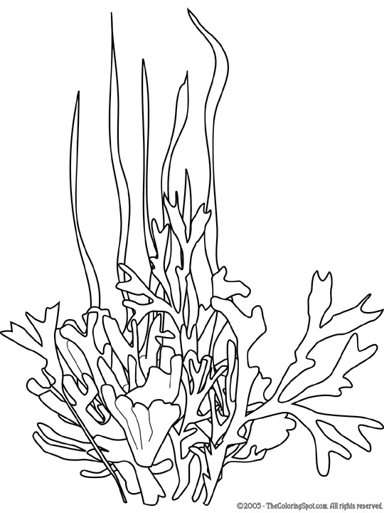 Seaweed coloring page audio stories for kids free coloring pages colouring printables