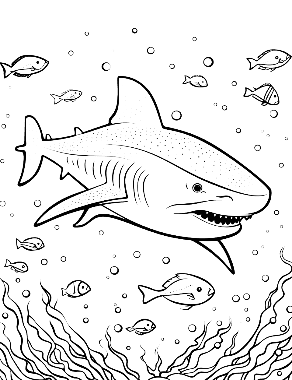 Shark coloring pages free printable sheets