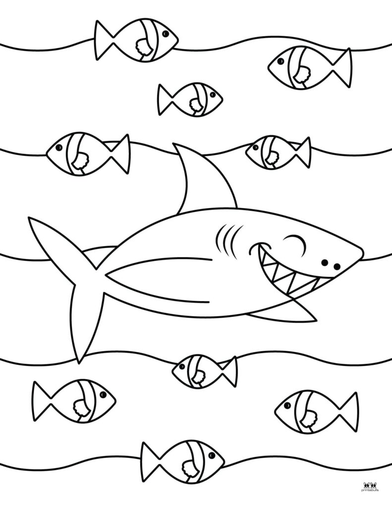 Shark coloring pages