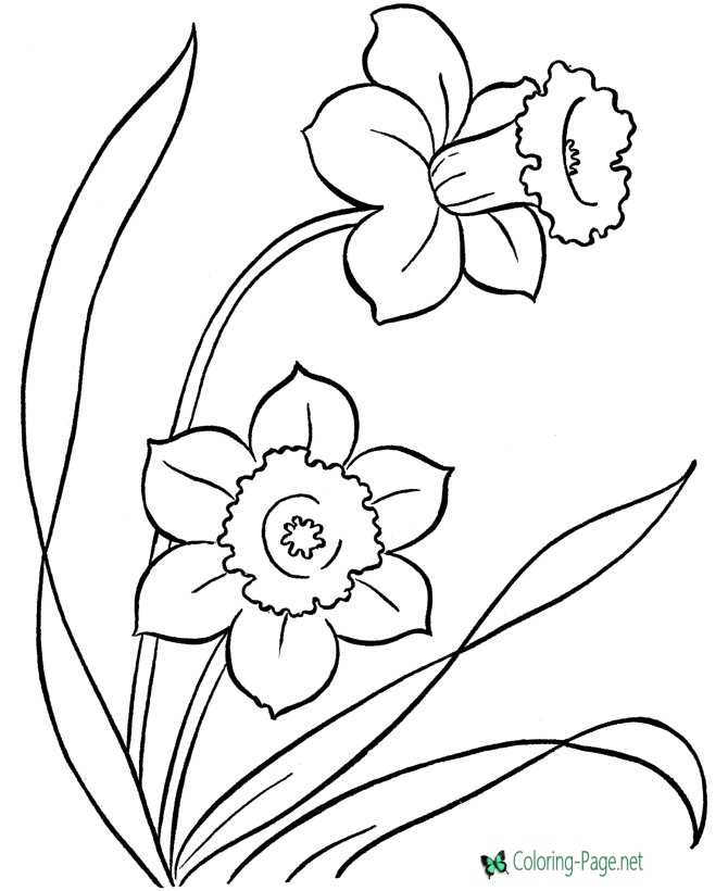 Spring flowers coloring pages