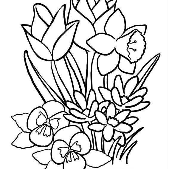 Coloring pages spring flower coloring pages educational places to find freeble