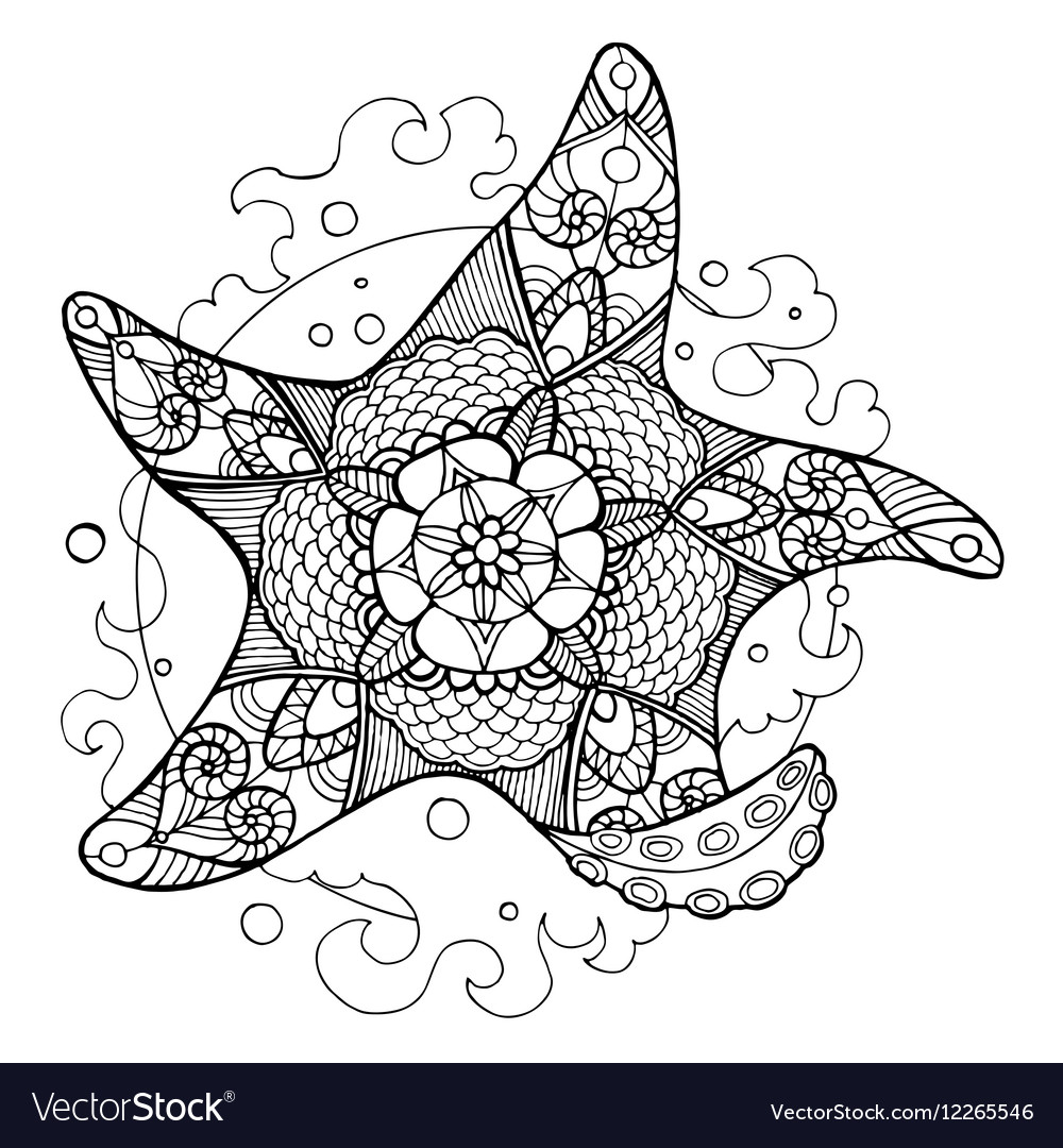 Starfish coloring book for adults royalty free vector image