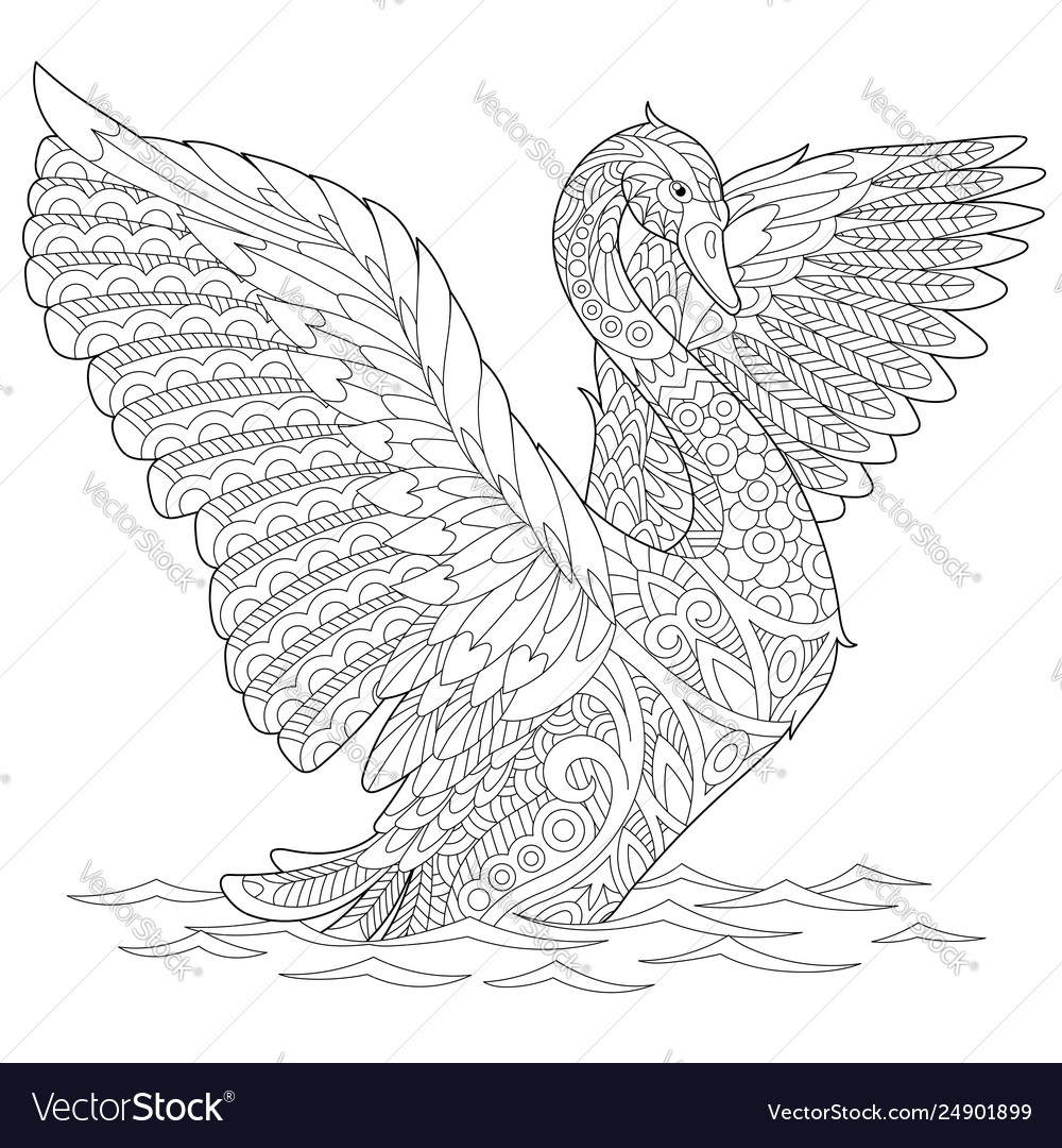 Swan adult coloring page royalty free vector image