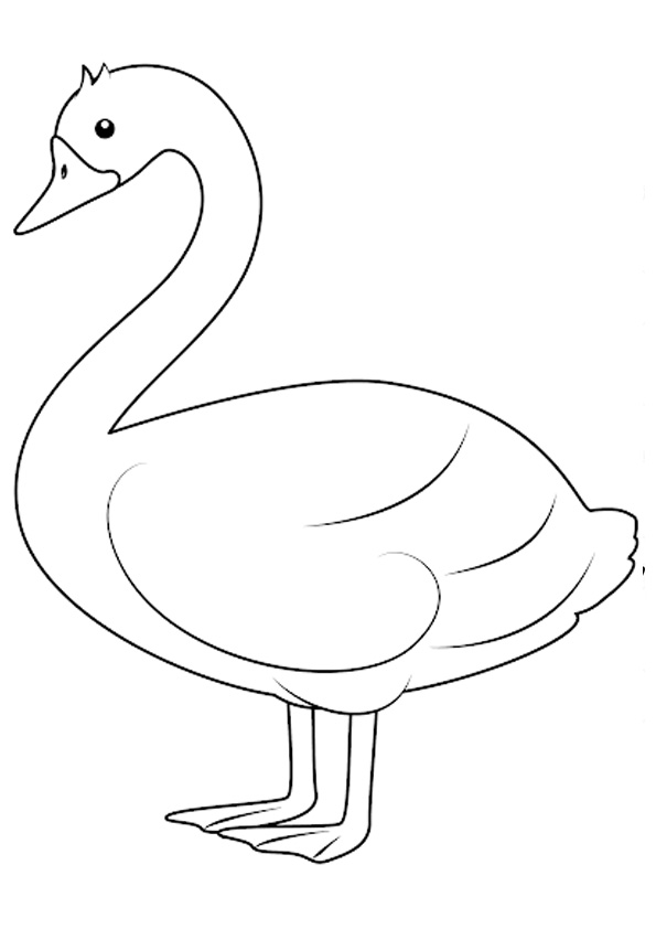 Coloring pages easy swan coloring pages for kids