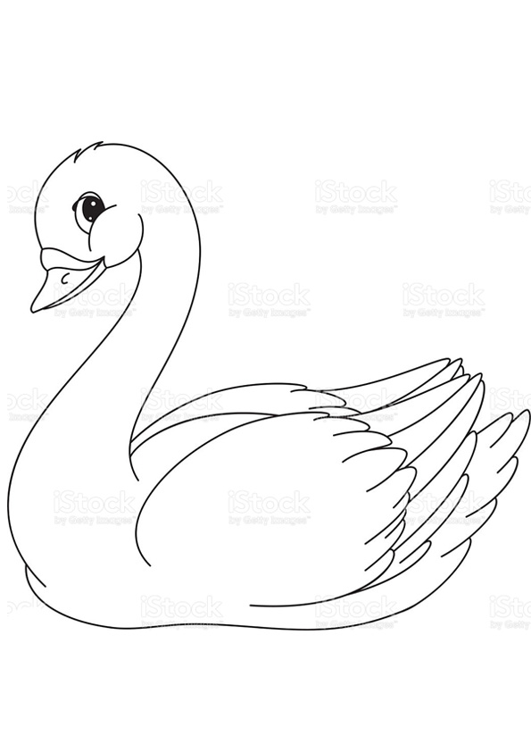 Coloring pages cute swan coloring pages for kids