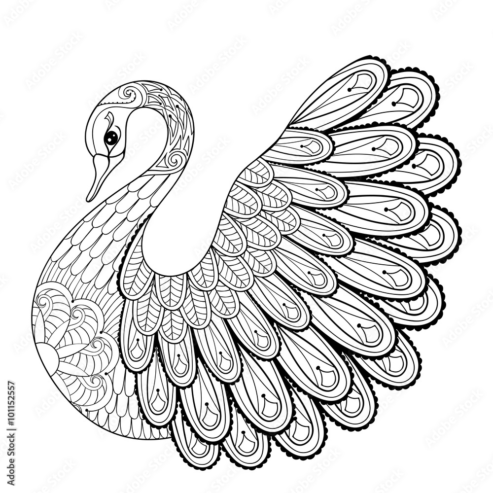 Hand drawing artistic swan for adult coloring pages in doodle z vector