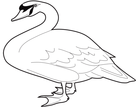 Mute swan coloring page free printable coloring pages