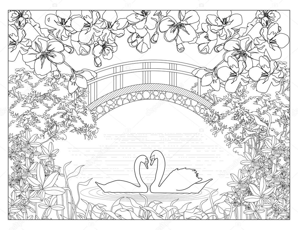 Swans coloring page stock illustration by smk
