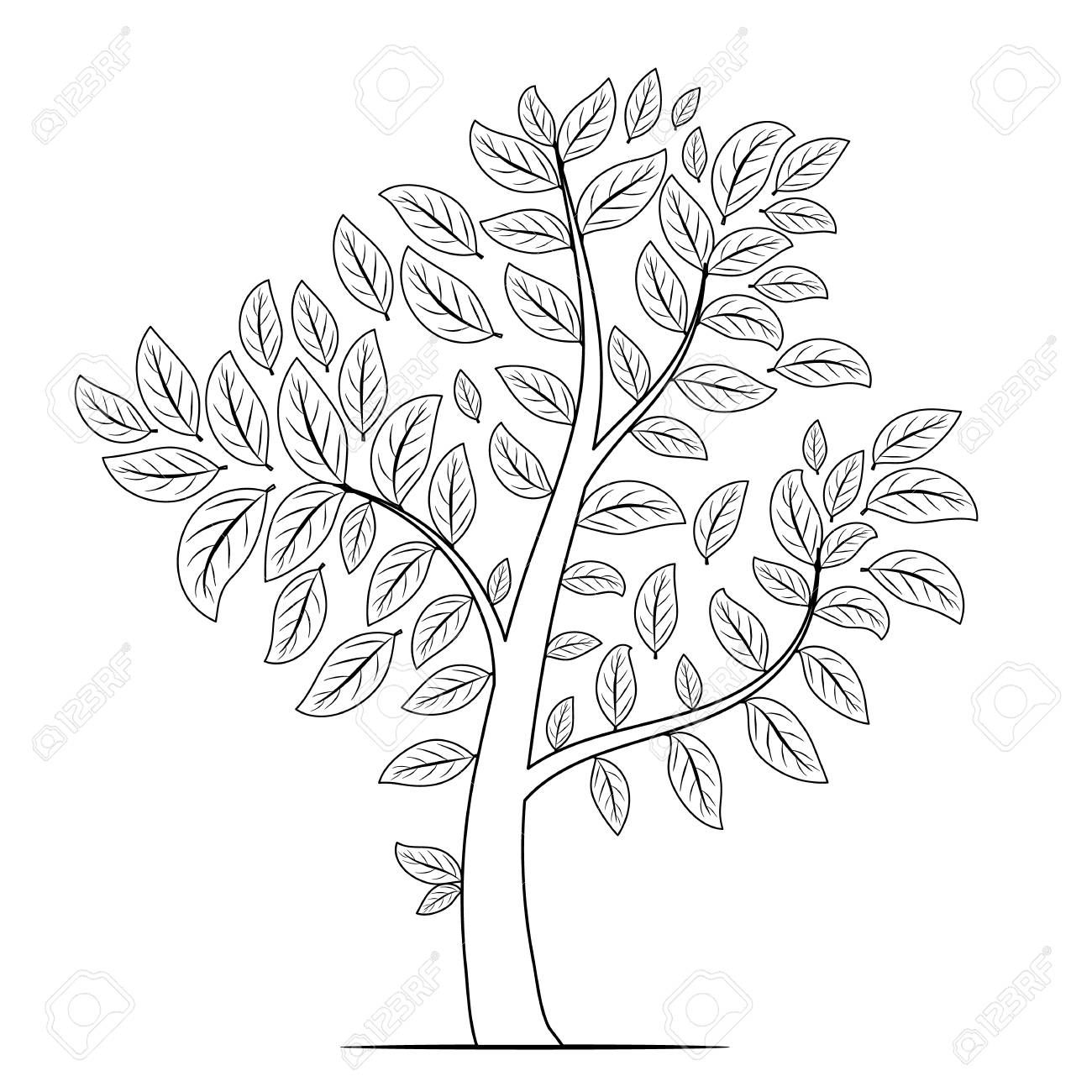 Tree with leaves silhouette on white background coloring book page vector royalty free svg cliparts vectors and stock illustration image