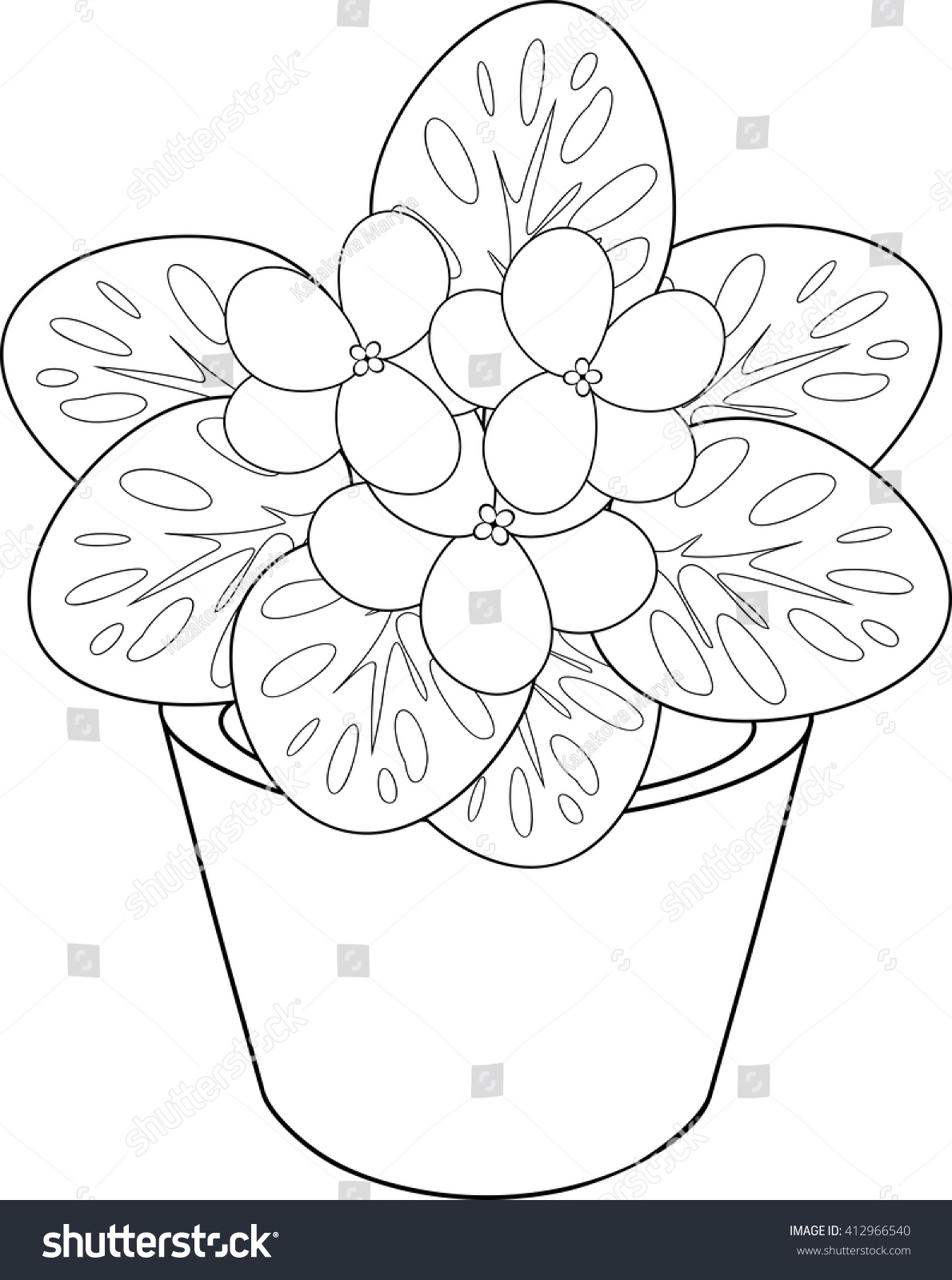 Coloring page african violet flower pot stock vector royalty free