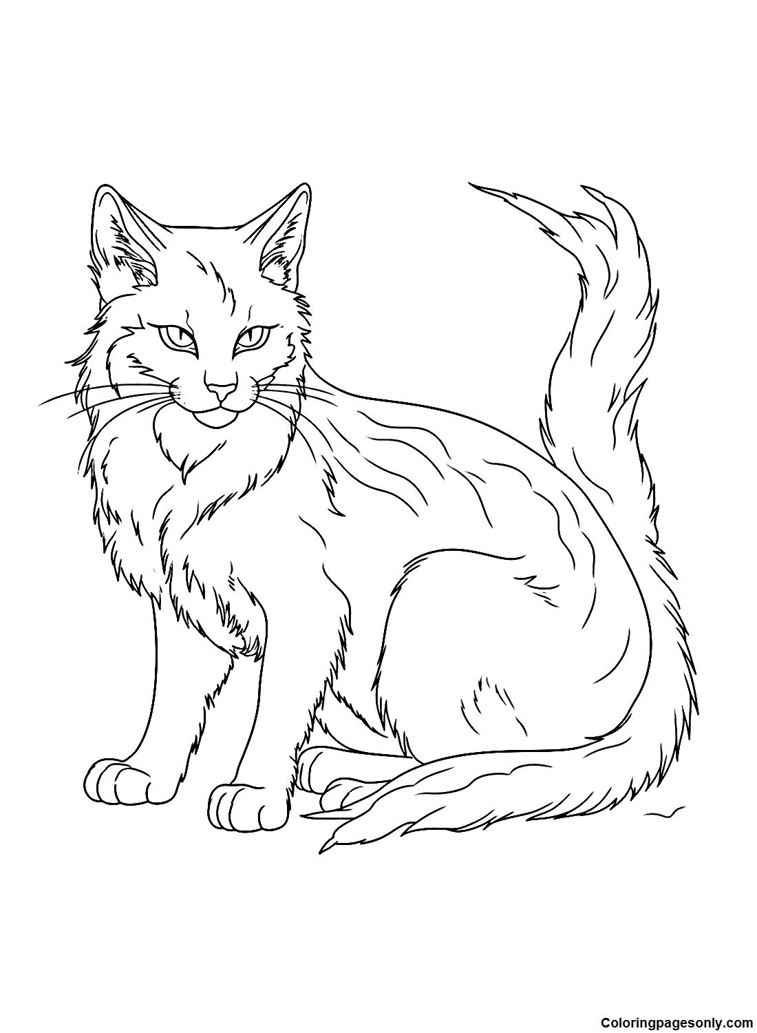 Warrior cats coloring pages printable for free download