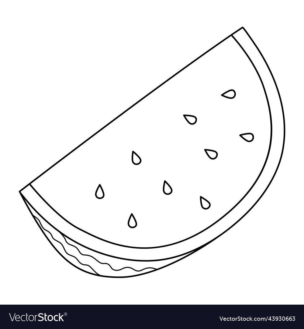 Sliced watermelon fruit isolated coloring page vector image