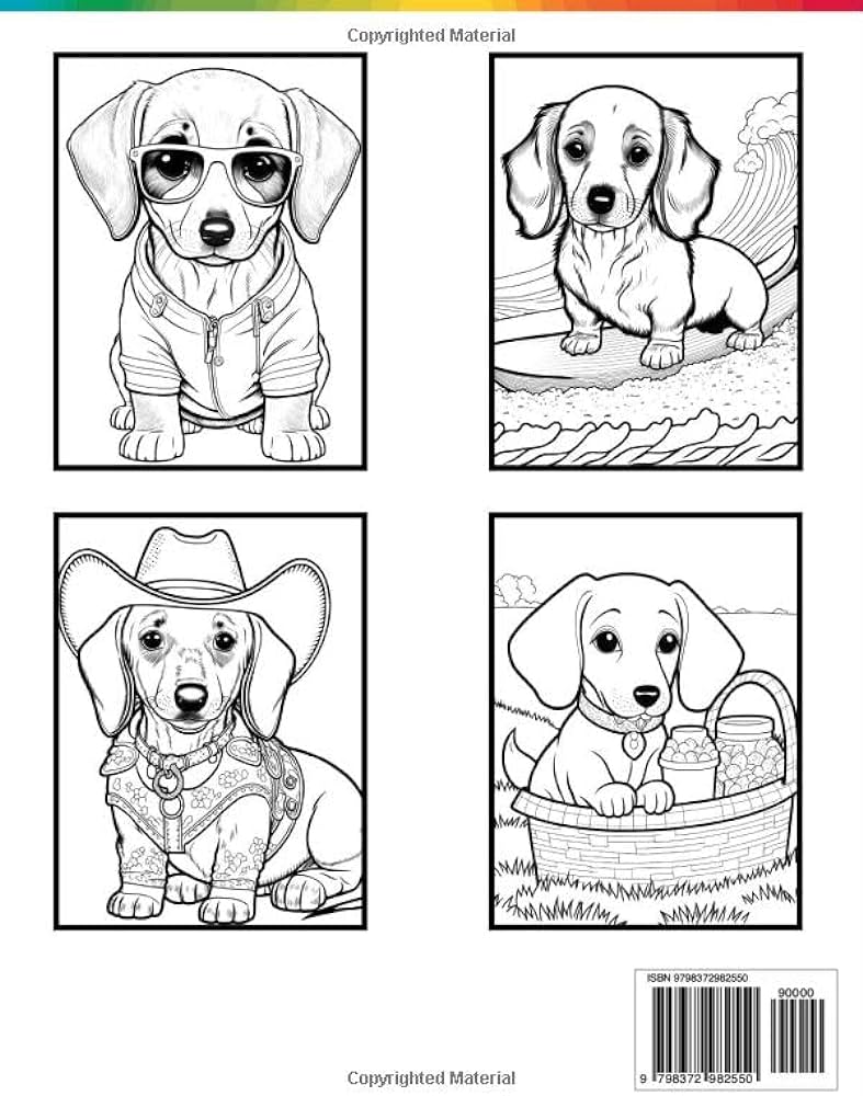 Dachshund coloring book fun and easy dog coloring pages in cute style with dachshund for kids adults dogs coloring books for kids adults sommer alura books