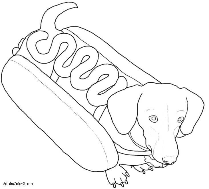 Image result for weenie dog coloring page dog coloring book dog coloring page weiner dog