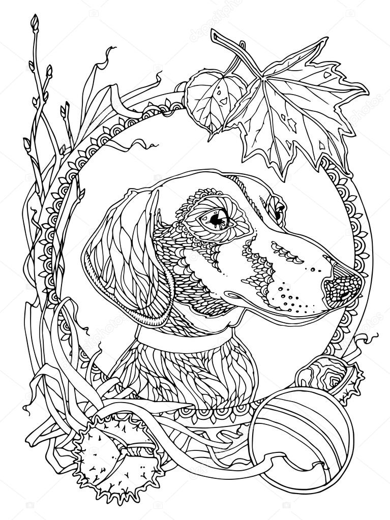 Coloring page with dachshund stock illustration by xaxalerik