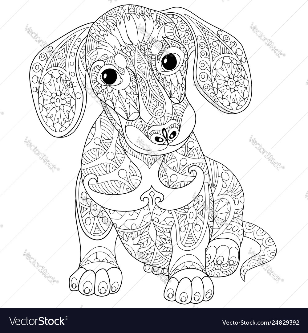 Dachshund dog adult coloring page royalty free vector image