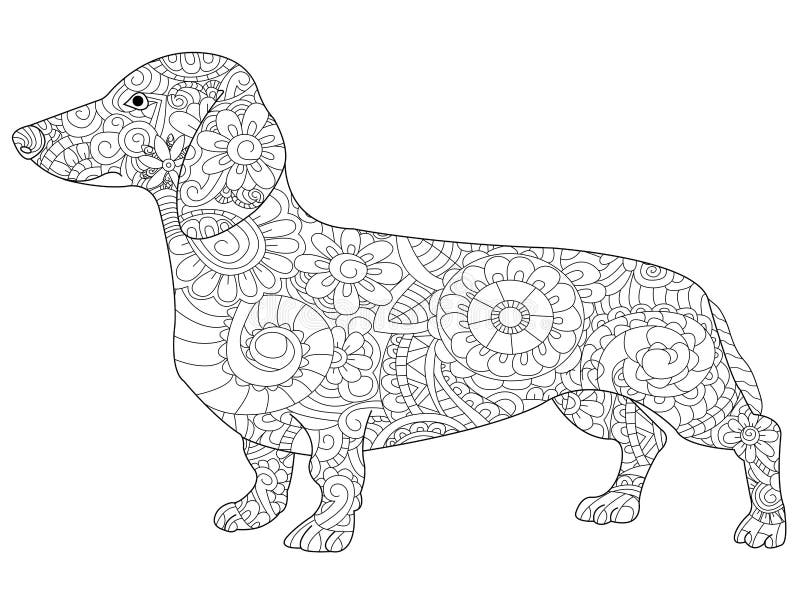 Dachshund coloring book for adults vector stock vector