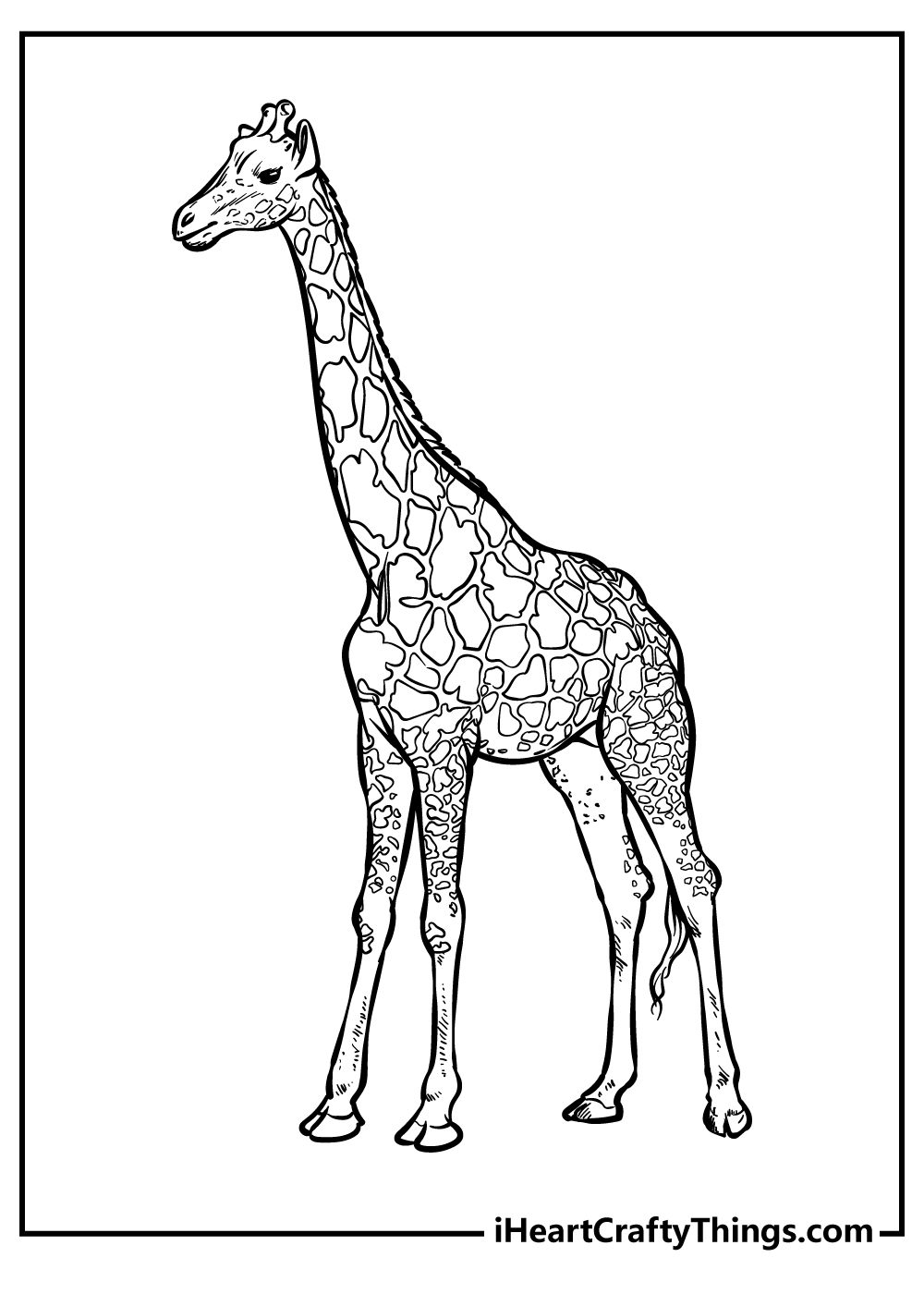 Zoo animals coloring pages free printables