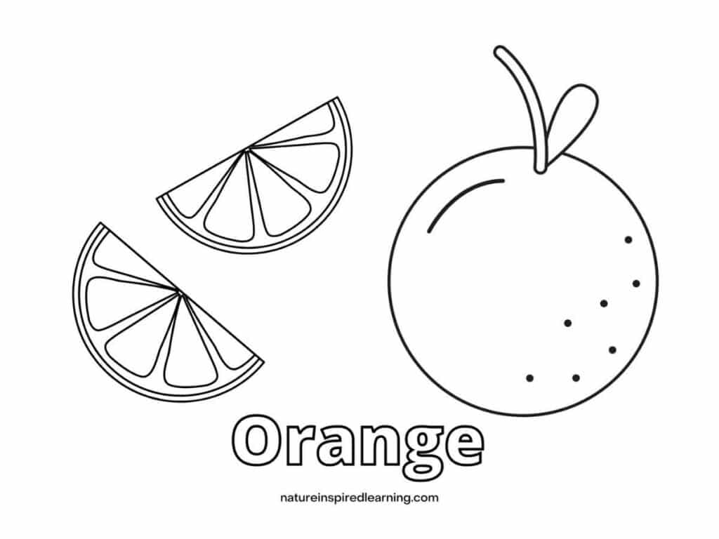 Orange coloring pages and templates