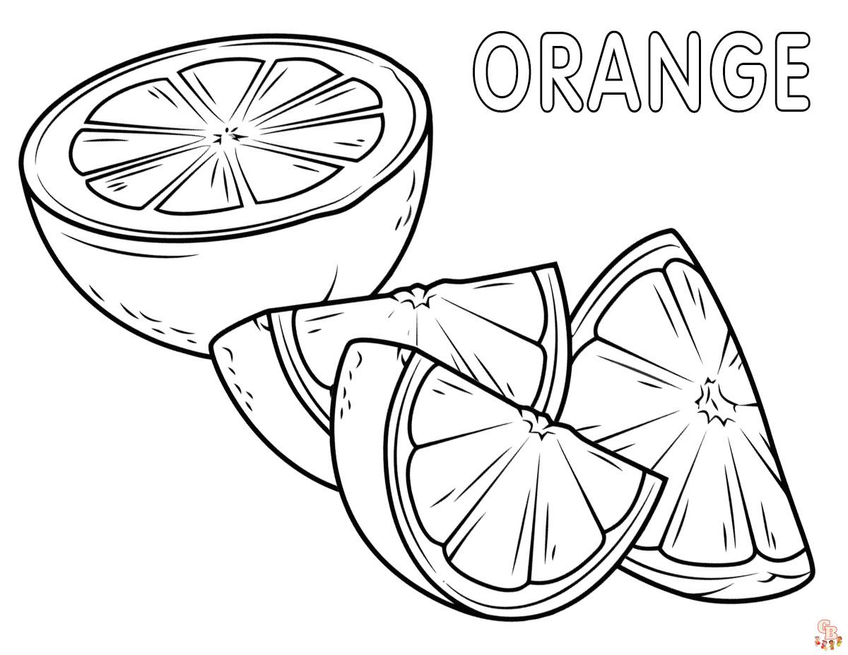 Fun and free orange coloring pages for kids