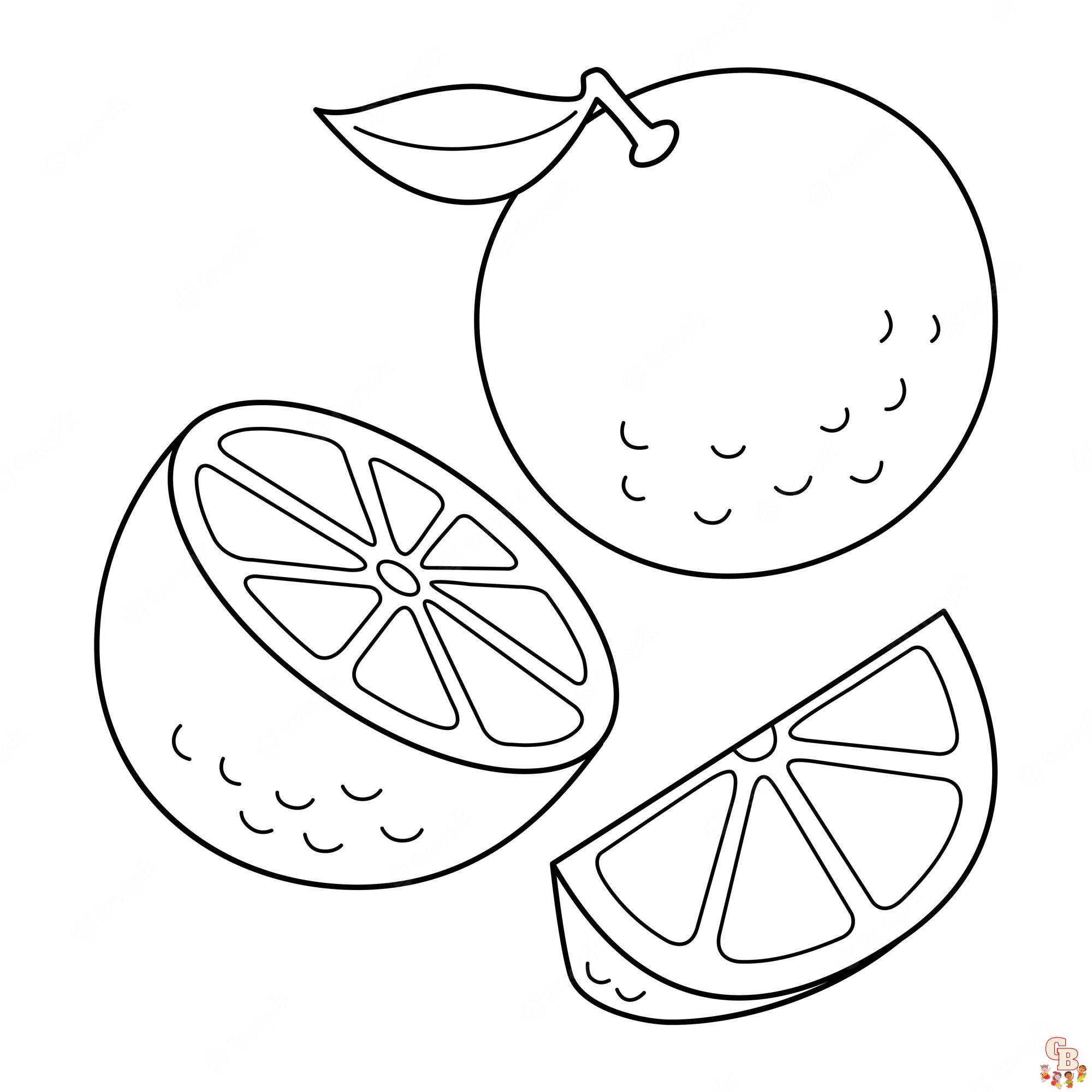 Fun and free orange coloring pages for kids