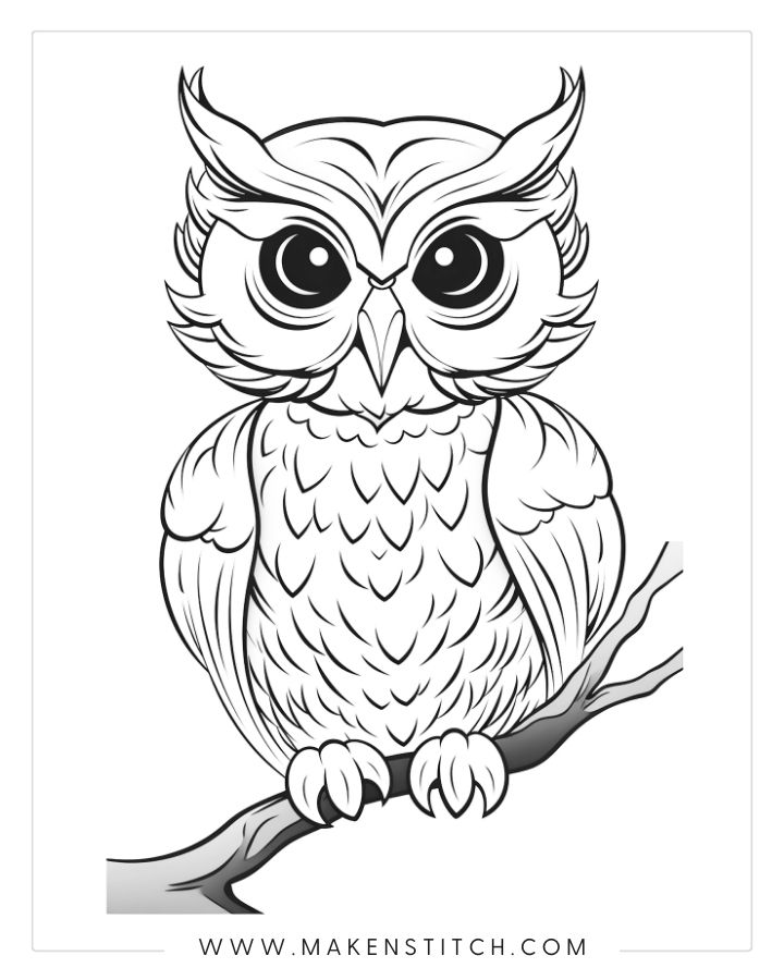 Owls coloring pages for kids and adults