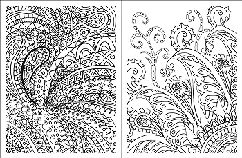 Posh adult coloring book paisley designs for fun relaxation volume posh coloring books logan teresa roberts books