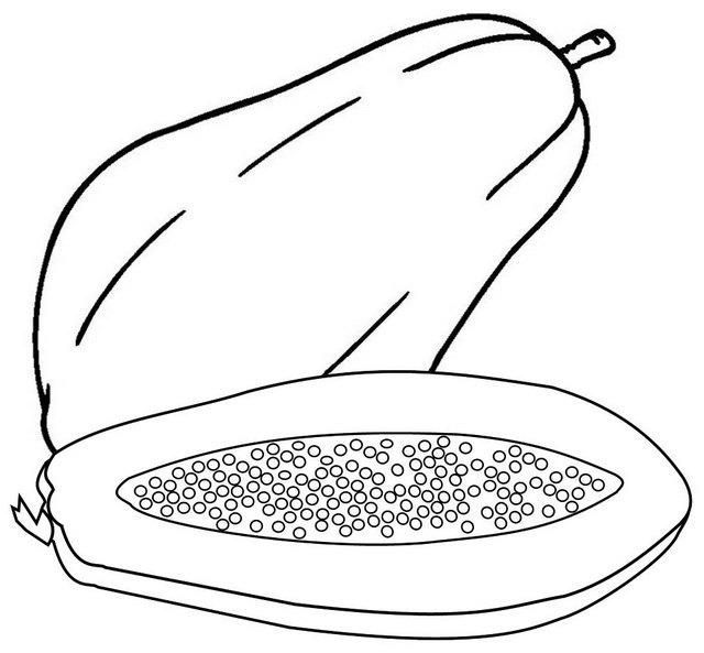 Papaya coloring pages fruit coloring pages vegetable coloring pages sunflower coloring pages